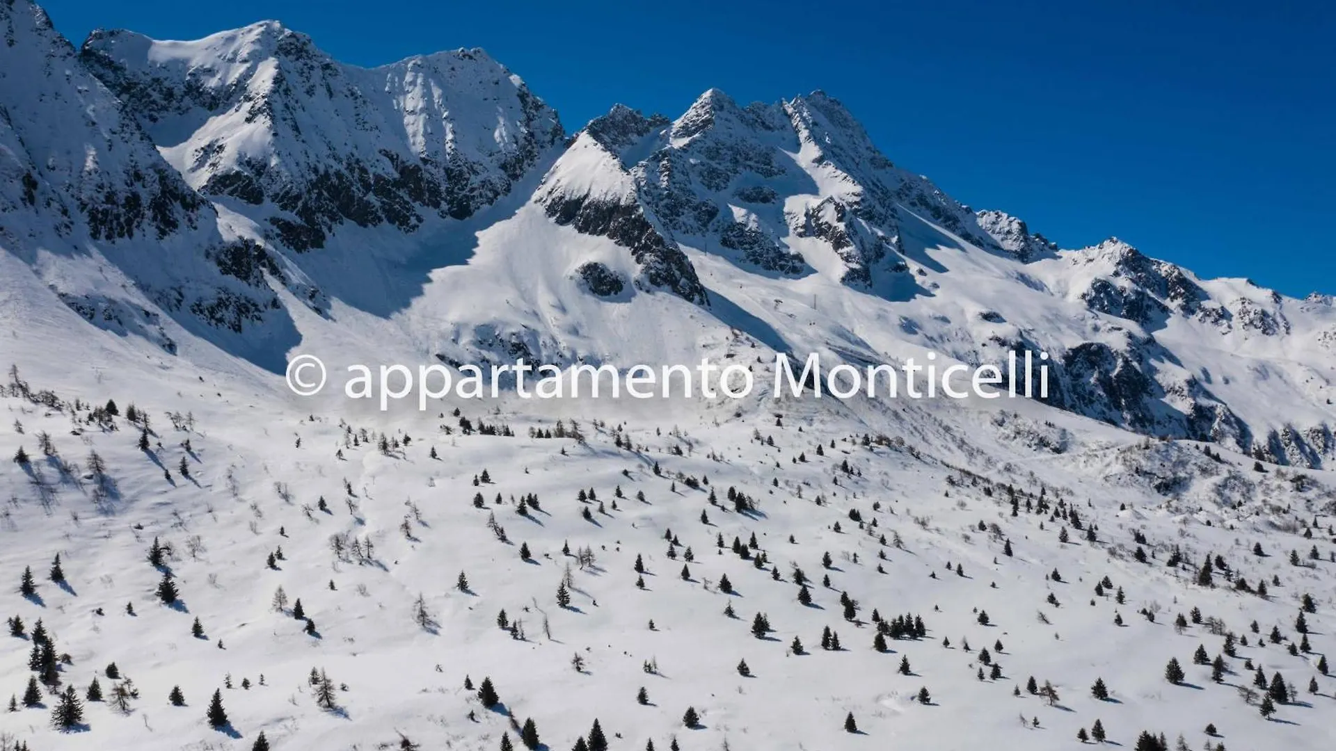 Cima Monticelli Apartment Passo del Tonale
